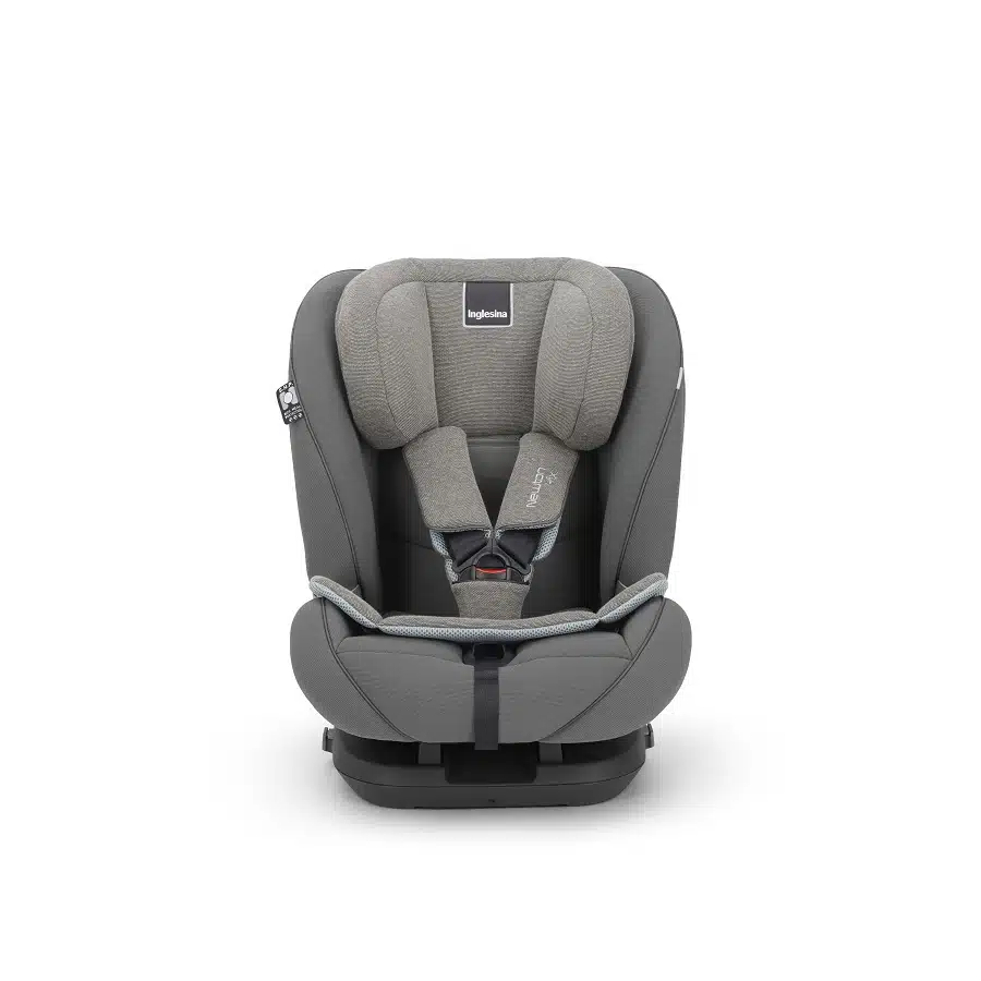 11876 1 newton frontale 1