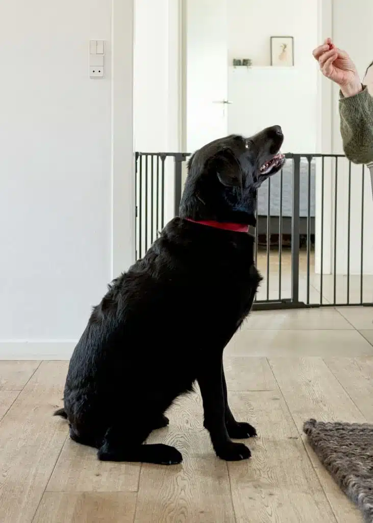 13327 10 26216 5600 10 m9 300