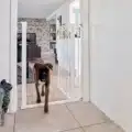 Kutyarács nyitott ajtóval, amin éppen egy közepes méretű kutya átsétál