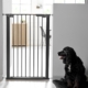 Kutyarács-DogSpace Bonie Extra magas Kutyarács, mely egy ajtó nyilásba van felszerelve. A kutya rács fekete színű, s előtte ül egy fekete színű kutya. A Kutyarács ajtaja be van csukva.