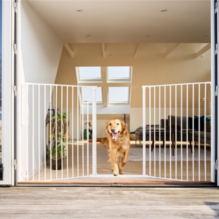 Kutyarács. Dogspace kutya rács fehér színben. Az ajtaja nyitva van és egy Labrador fajtájú kuyta sétál át a nyitott kutyarács ajataján