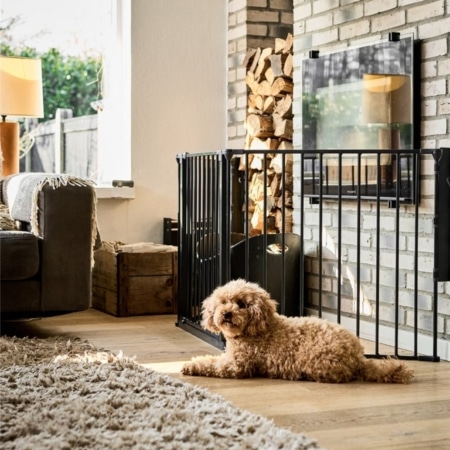 Kutyarács a Baby Dantól. A Dog Space MAX L kutyarács látható a képen. A kutyarács fekete színű. Összeszerelt állapotban van a kutya rács. Egy kutya fekszik előtte, mely megvédő a kandalló veszélyeitől.