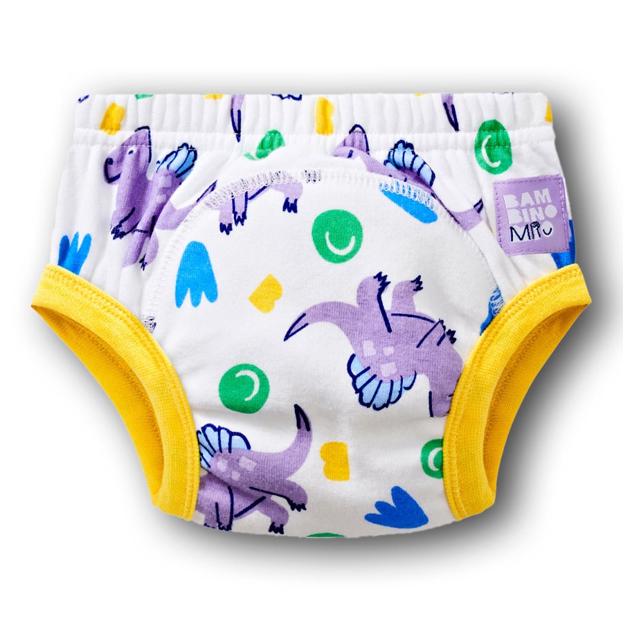 13847 1 image 1 potty training pants crash