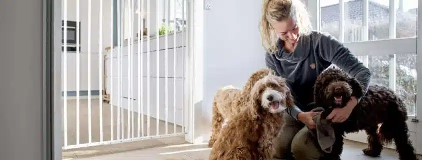 Kutyarács Kutyarács ajtóra szerelve. Két kutyát ölel a gazdájuk