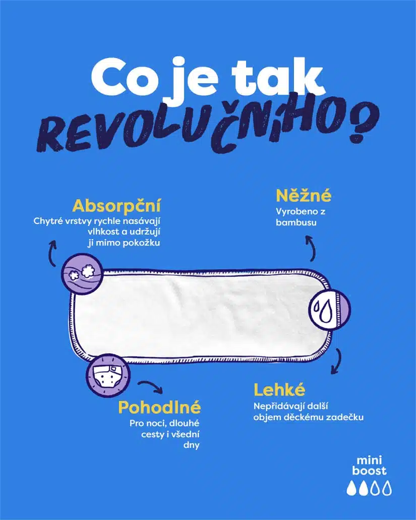 13982 1 image 5 mini boost diagram