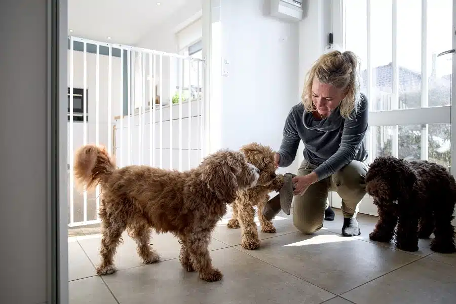 15416 7 dogspace charlie extra magas kapu 62 107cm csavarozhato feher fem